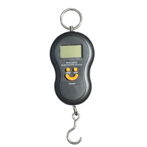 Portable electronic scale