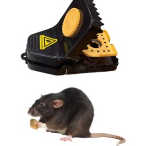 Rat Trap KarKee   چوہا پکرنےوالی کرکی